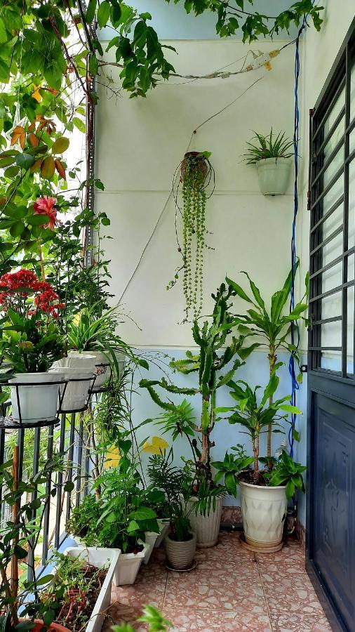 Sena Home 2Nd*Near Danang Han River*Dragon Bridge Exterior photo